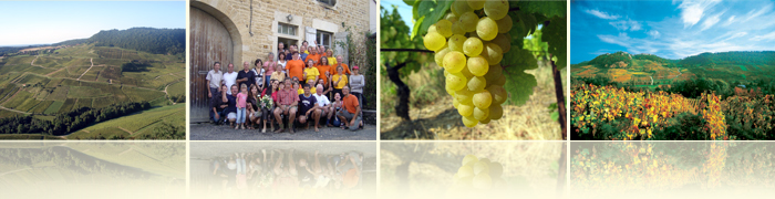Domaine Pierre RICHARD, vins du jura, crémants du jura, vin jaune, savagnin, chardonnay