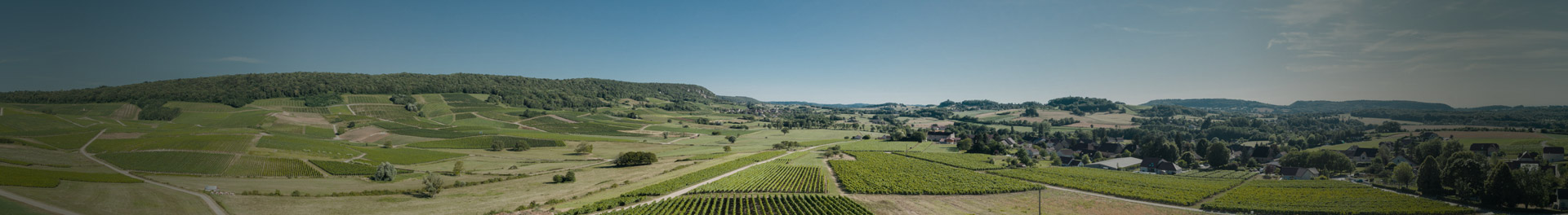 Domaine Pierre Richard