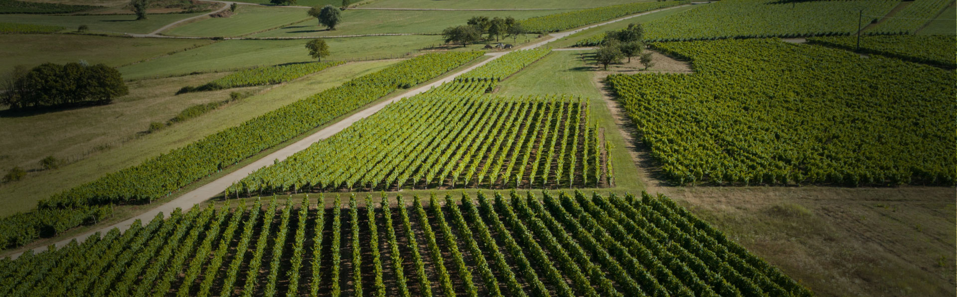 Domaine Pierre Richard